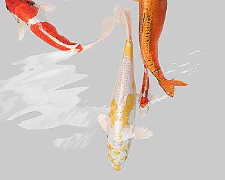 全球解谜游戏标杆巨作《迷室VR》今日上线！